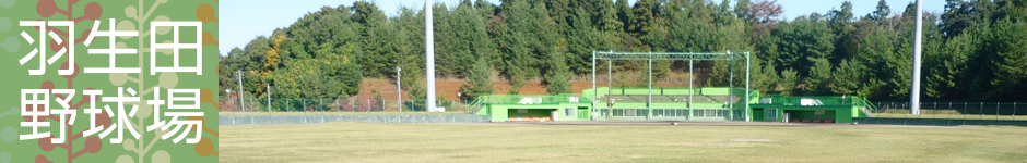 平成27年3月に西蒲区にオープンしたばかりの人工芝サッカーコート。新潟市潟東サルビアサッカー場