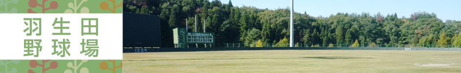 羽生田野球場